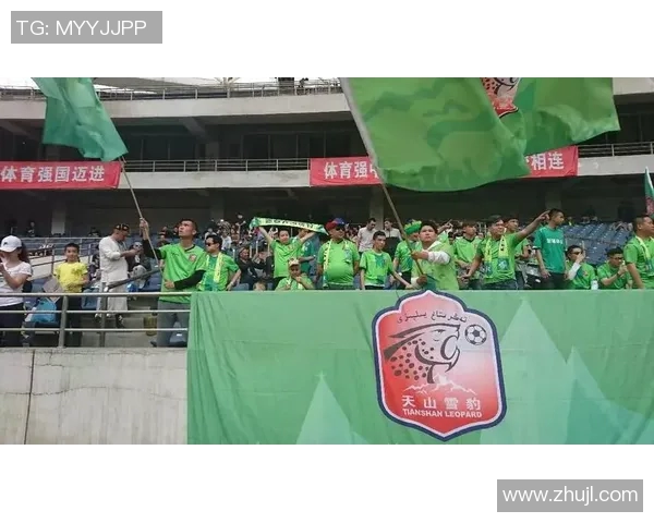 丽江飞虎与深圳队的精彩对决结果揭晓赛事回顾与分析